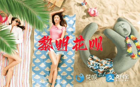 奋起直追花呗